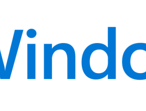 MS WINDOWS 11 PRO 64B DSP