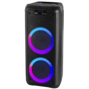 XFEST AMPLIFIED SPEAKER 80W BLUETOOTH USB MICRO SD TREVI XF 600 KB